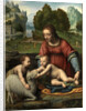 The Virgin and Child with the Infant Saint John by Bernardino Luini