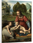 The Virgin and Child with the Infant Saint John by Bernardino Luini
