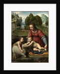 The Virgin and Child with the Infant Saint John by Bernardino Luini