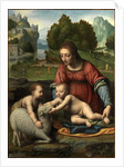 The Virgin and Child with the Infant Saint John by Bernardino Luini