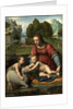 The Virgin and Child with the Infant Saint John by Bernardino Luini