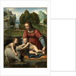 The Virgin and Child with the Infant Saint John by Bernardino Luini