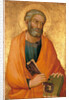 Peter the Apostle by Simone di Martini