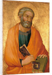 Peter the Apostle by Simone di Martini