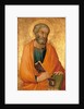 Peter the Apostle by Simone di Martini