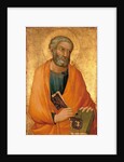 Peter the Apostle by Simone di Martini