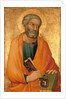 Peter the Apostle by Simone di Martini