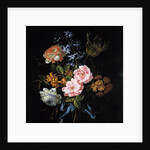 Bouquet of poppy anemones, roses, double campernelle, a hyacinth, a tulip and auricula tied with a b by Jean-Baptiste Monnoyer