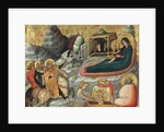 The Nativity and other Episodes from the Childhood of Christ by Pietro da Rimini
