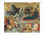 The Nativity and other Episodes from the Childhood of Christ by Pietro da Rimini