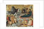 The Nativity and other Episodes from the Childhood of Christ by Pietro da Rimini