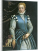 Portrait of a Woman with a dog by Paolo Veronese