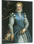 Portrait of a Woman with a dog by Paolo Veronese