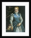 Portrait of a Woman with a dog by Paolo Veronese