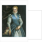 Portrait of a Woman with a dog by Paolo Veronese