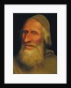 Head of an Old Man by Quentin Massys