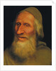 Head of an Old Man by Quentin Massys
