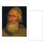 Head of an Old Man by Quentin Massys