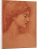 Female Head by Sir Edward Coley Burne-Jones
