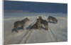 Wolves by Alexei Stepanovich Stepanov