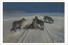 Wolves by Alexei Stepanovich Stepanov