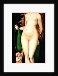 Venus and Amor by Hans Baldung