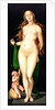 Venus and Amor by Hans Baldung