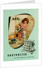 Toaster. AEG advertising by Anonymous