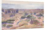 The Beach of Vignasse by Henri Edmond Cross
