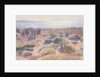 The Beach of Vignasse by Henri Edmond Cross