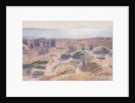 The Beach of Vignasse by Henri Edmond Cross