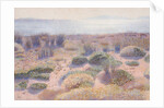 The Beach of Vignasse by Henri Edmond Cross