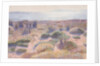 The Beach of Vignasse by Henri Edmond Cross