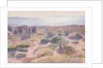 The Beach of Vignasse by Henri Edmond Cross