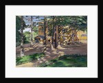 Savva Mamontovs Estate Abramtsevo by Sergei Arsenyevich Vinogradov
