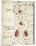 Representation of an Aristotelian Theory of Consciousness by Anonymous