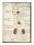 Representation of an Aristotelian Theory of Consciousness by Anonymous