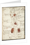 Representation of an Aristotelian Theory of Consciousness by Anonymous