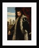 Portrait of a Young Man Wearing Lynx Fur by Paolo Veronese