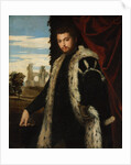 Portrait of a Young Man Wearing Lynx Fur by Paolo Veronese