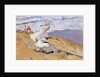 Capture The Moment by Joaquín Sorolla y Bastida