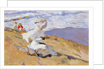 Capture The Moment by Joaquín Sorolla y Bastida