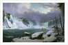 Niagara Falls in Winter by Hippolyte Sebron