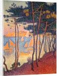 Sails and pines by Paul Signac