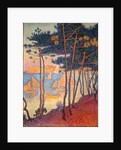 Sails and pines by Paul Signac
