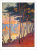 Sails and pines by Paul Signac
