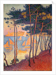 Sails and pines by Paul Signac