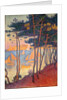 Sails and pines by Paul Signac