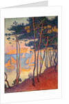Sails and pines by Paul Signac