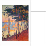 Sails and pines by Paul Signac